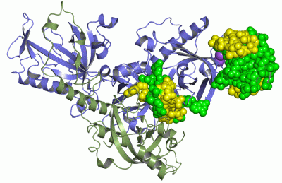 Image Asym./Biol. Unit - manually