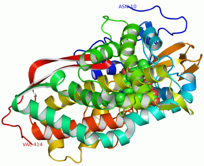 Image Asym./Biol. Unit - manually