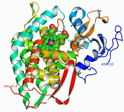 Image Asym./Biol. Unit - manually