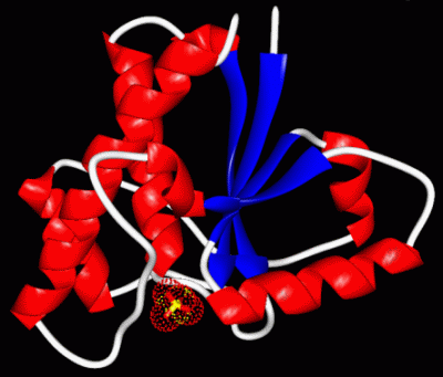 Image Asym./Biol. Unit - manually