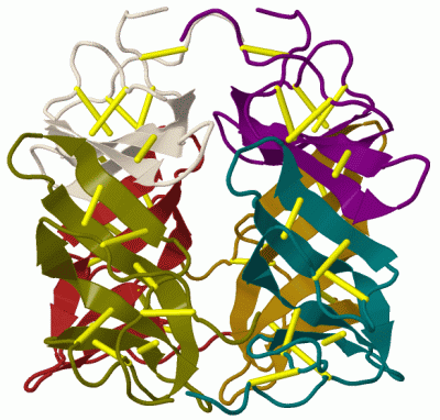 Image Biol.Unit 1 - manually