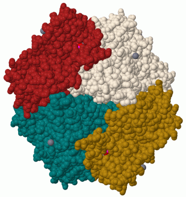 Image Biol.Unit 1 - manually