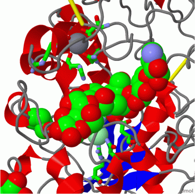 Image Asym./Biol. Unit - manually