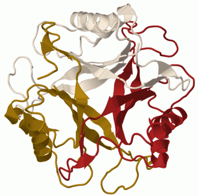 Image Biol.Unit 1 - manually