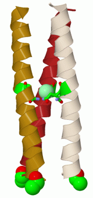 Image Biol.Unit 1 - manually