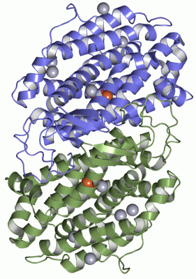 Image Asym./Biol. Unit - manually