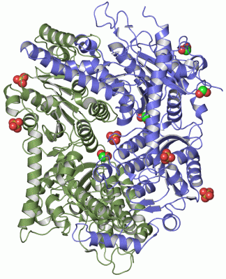 Image Asym.Unit - manually