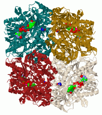 Image Biol.Unit 1 - manually