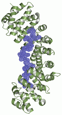 Image Asym./Biol. Unit - manually