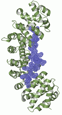 Image Asym./Biol. Unit - manually