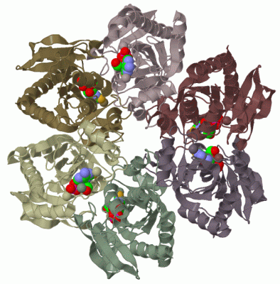 Image Biol.Unit 1 - manually