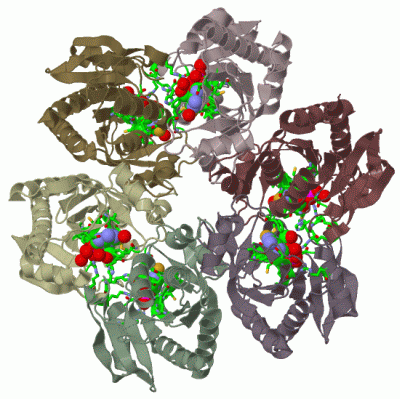 Image Biol.Unit 1 - manually