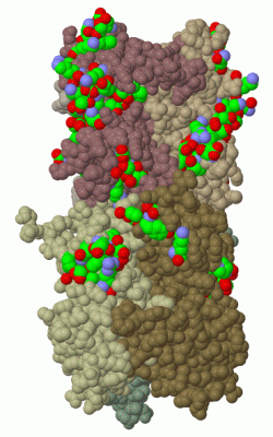 Image Biol.Unit 1 - manually