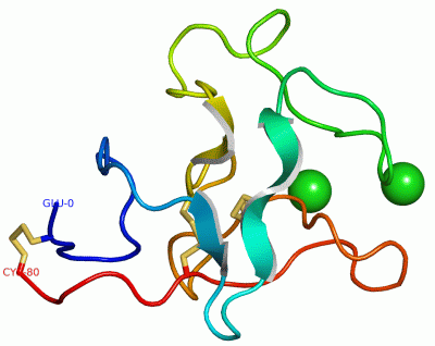 Image Asym./Biol. Unit - manually