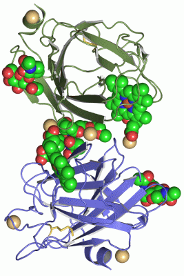 Image Asym.Unit - manually
