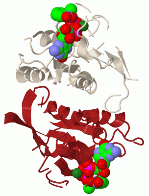 Image Biol.Unit 1 - manually