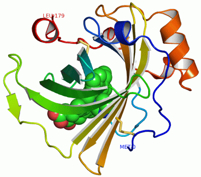 Image Asym./Biol. Unit - manually