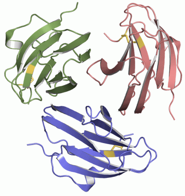 Image Asym./Biol. Unit - manually