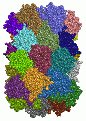 Image Asym./Biol. Unit - manually