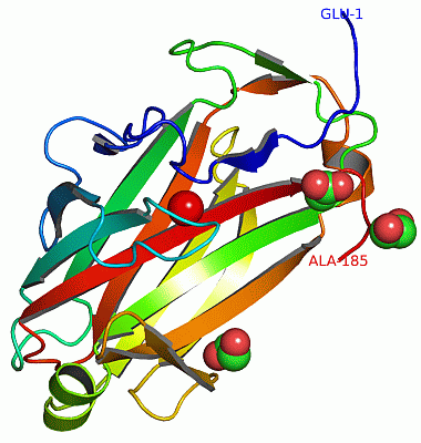 Image Asym./Biol. Unit - manually