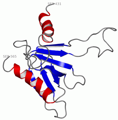 Image NMR Structure - manually