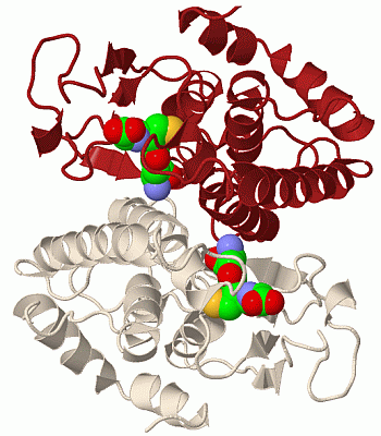 Image Biol.Unit 1 - manually