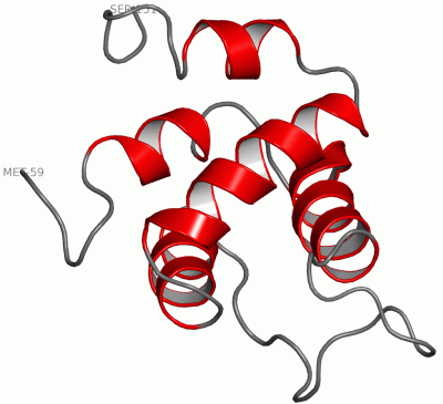 Image NMR Structure - manually