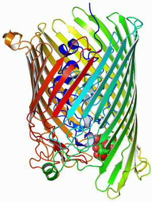 Image Asym./Biol. Unit - manually