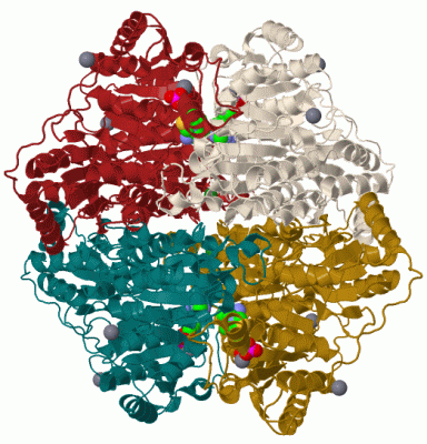 Image Biol.Unit 1 - manually