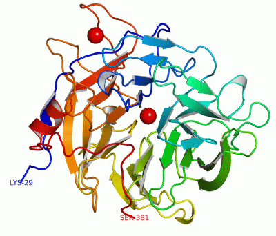 Image Asym./Biol. Unit - manually