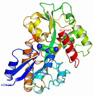 Image Asym./Biol. Unit - manually