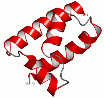 Image NMR Structure - manually