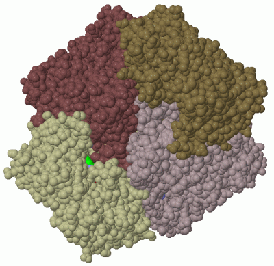 Image Biol.Unit 1 - manually