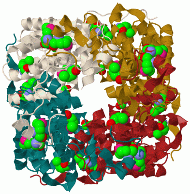 Image Biol.Unit 1 - manually