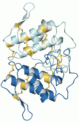 Image Asym./Biol. Unit - manually