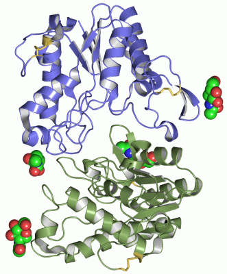 Image Asym.Unit - manually