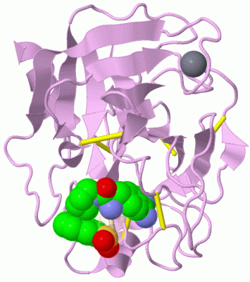 Image Asym./Biol. Unit - manually