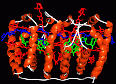 Image Asym./Biol. Unit - manually