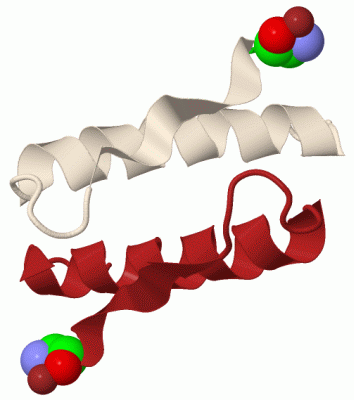 Image Biol.Unit 1 - manually