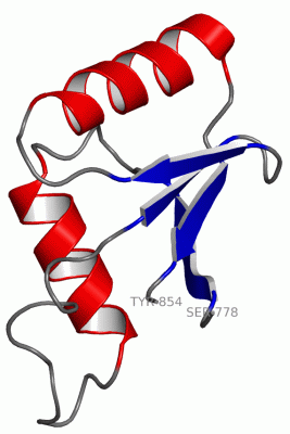 Image NMR Structure - manually