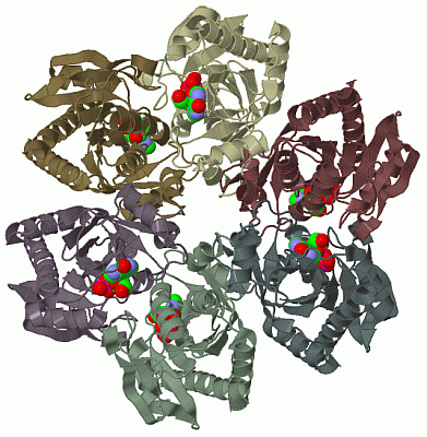 Image Biol.Unit 1 - manually