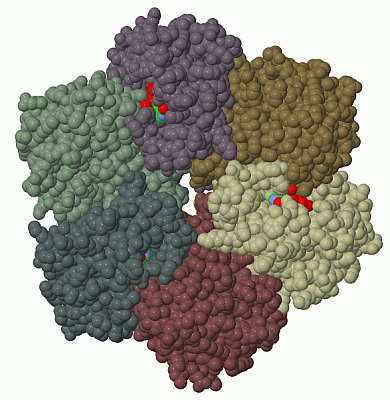 Image Biol.Unit 1 - manually