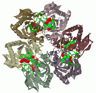 Image Biol.Unit 1 - manually