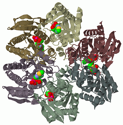 Image Biol.Unit 1 - manually