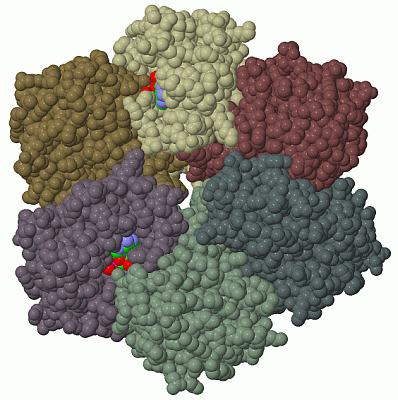 Image Biol.Unit 1 - manually