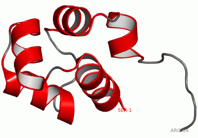 Image NMR Structure - manually