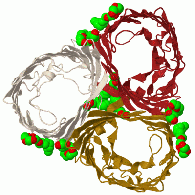 Image Biol.Unit 1 - manually