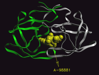 Image Asym./Biol. Unit - manually