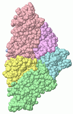 Image Biol.Unit 1 - manually