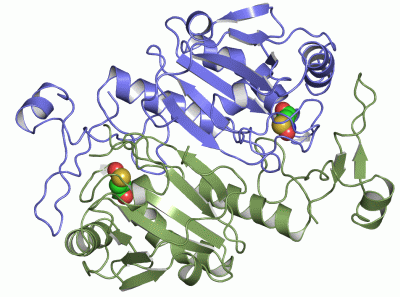 Image Asym./Biol. Unit - manually